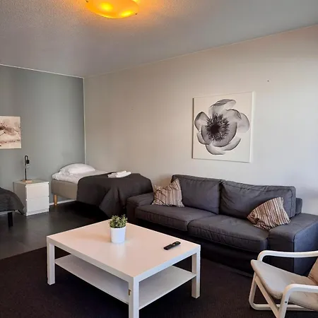 Kotimaailma - Tilava Parvekkeellinen Kodikas Kolmio - Pinninkatu Apartment Tampere